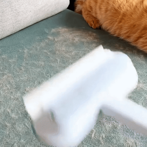 PetClean Pro 3-in-1 Pet Hair Remover Brush for Carpets, Rugs, and Home Furniture